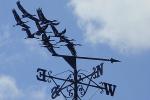 Black Forge Art weathervane - <a href='http://www.blackforgeart.co.uk'>www.blackforgeart.co.uk</a> Weathervane with cranes made by Black Forge Art