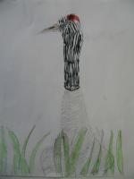 Crane art image