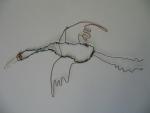 Crane art image