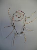 Crane art image