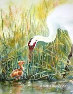 Whooping crane and chick