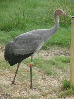 Squidgy - August 9th 2010