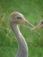 Squidgy - August 9th 2010