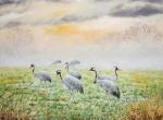 Crane art image