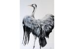 Detailed painting of the back view of a Eurasian Crane