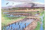 Autumn and Winter by Richard Allen