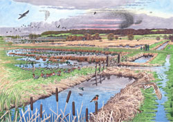 the crane landscape in autumn winter